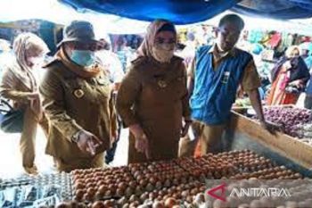 Harga kebutuhan pokok di Kendari stabil kecuali telur