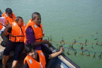 BBPBAP Jepara inisiasi budi daya rumput laut berbasis masyarakat