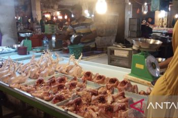Harga daging ayam segar di Batam naik