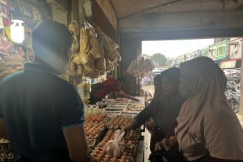 Harga telur di Batam capai Rp55 ribu per papan