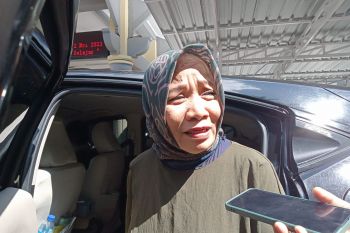 Catat! Formasi CPNS 2023 hanya untuk lembaga vertikal