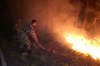 Perhutani Banyumas Barat siapkan langkah antisipasi kebakaran  hutan