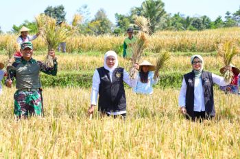 Gubernur khofifah apresiasi petani kembangkan cairan organik "Biosaka"