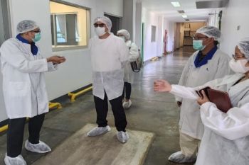 Biofarma dan Smesco Indonesia kolaborasi tingkatkan produk herbal UMKM