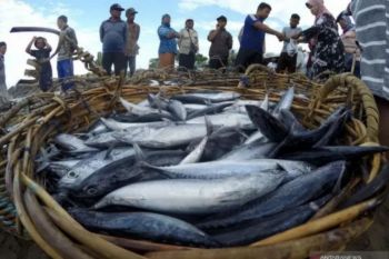 DIY tingkatkan produksi ikan 3.500 ton per tahun