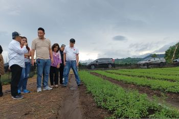 Harapkan investor asing bawa transfer pengetahuan