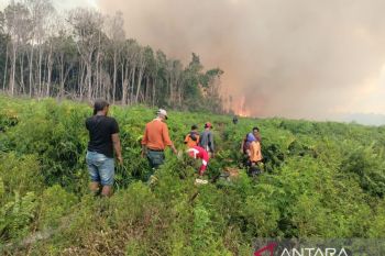 Kebakaran lahan sawit terjadi di Sumbar terkendali