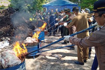 Bea Cukai Bengkalis musnahkan 41,2 ton daging ilegal asal India