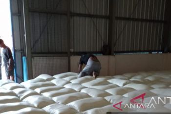 Bulog serap 3.000 ton beras produksi petani di Kabupaten OKU Timur