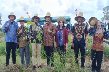 Hasil panen melimpah, petani Pematang Limau perlu dukungan alsintan