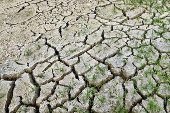 Pengamat nilai pemerintah perlu siapkan skema antisipasi El Nino