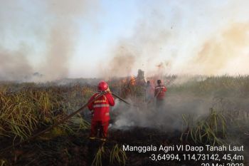 Hangus terbakar, delapan hektare lahan di Palangkaraya