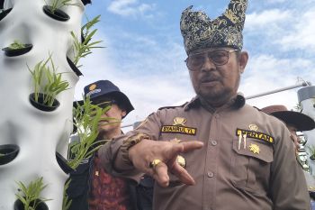 Presiden Jokowi dijadwalkan lepas benih varietas padi gogo pada Penas Tani XVI