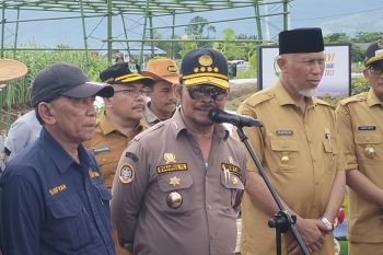 Mentan: Peningkatan pasokan beras tiga tahun terakhir cukup bagus