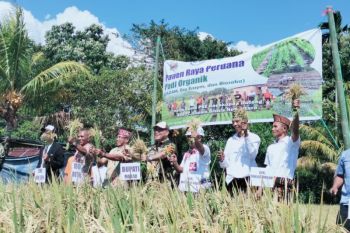 Manggarai Barat berkolaborasi dukung petani masuk industri pariwisata
