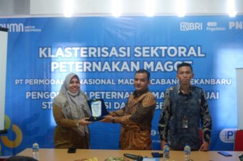 Budi daya maggot untungkan pelaku usaha di Pekanbaru