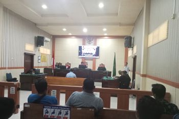 WALHI Sumbar dukung putusan hakim terdakwa tambang emas ilegal di Pasaman Barat bersalah