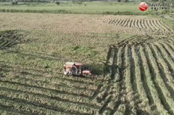 DPRD sebut petani Seruyan kekurangan mesin panen padi