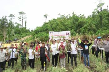 Bupati Konawe Utara mendorong produksi bawang merah cegah inflasi