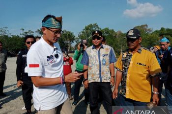 Sandiaga Uno tanam mangrove di Desa Terong Belitung