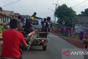 Warga Bangka berhasil tangkap buaya tiga meter