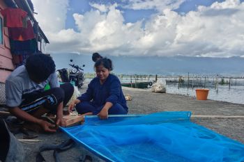 Ikan rinuak di Danau Maninjau langka sejak tujuh bulan silam