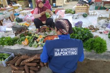Harga daging ayam di Kulon Progo naik