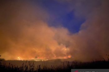 Puluhan hektare lahan terbakar di Kalsel