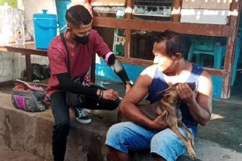 Pemerhati rabies  ingatkan warga gejala khas rabies