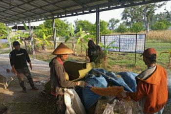 Pakan "Tebon Jagung Chopper" inovasi Lapas Kendal segera dipasarkan