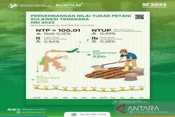NTP Sultra pada Mei 2023 naik sebesar 0,16 persen