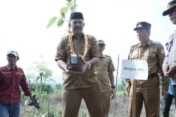 Pemkab Sigi canangkan Desa Bomba-Marawola sebagai kampung alpukat