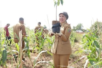 Peringati pekan lingkungan hidup, Pemprov Lampung mulai aksi penghijauan