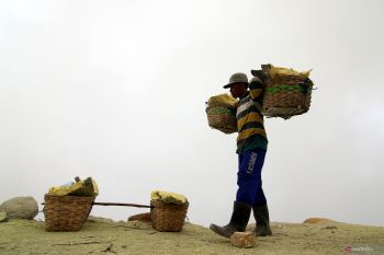 Jumlah penambang belerang menurun
