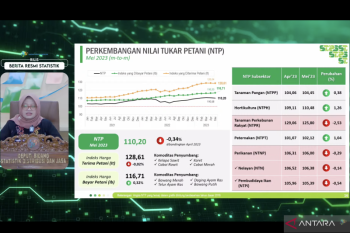 BPS: NTP Mei 2023 turun 0,34 persen