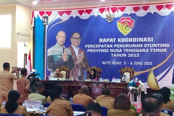 Pemkab Manggarai Barat apresiasi kolaborasi swasta atasi stunting