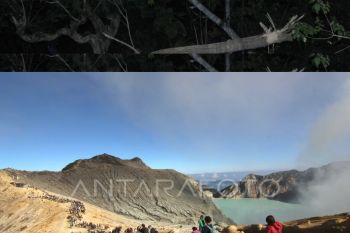 TWA Ijen ramai dikunjungi wisatawan