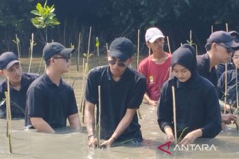 Cegah abrasi di Muaragembong,  Abang dan Mpok Bekasi tanam bakau