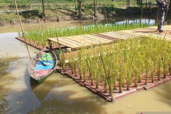 Disbudpar Sumsel dorong masyarakat bikin keren desa wisata unggulan