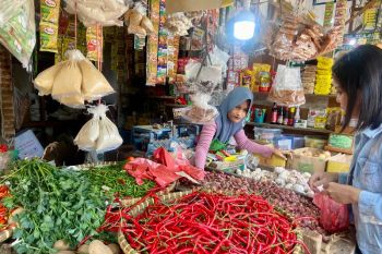 BI sebut deflasi Lampung akibat penurunan harga komoditas