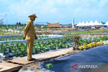 Penas Tani Nelayan XVI ajang petani milenial tingkatkan wawasan