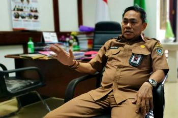 Tahun ini sembilan desa di Seruyan teraliri listrik PLN