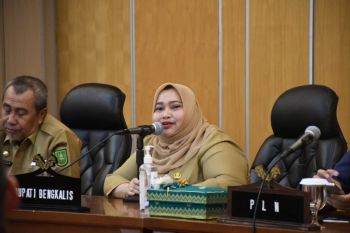 Bangun PLTS senilai Rp18 triliun di Bengkalis, ini harapan Bupati Kasmarni