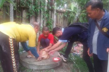 Vaksinasi anjing untuk cegah penularan rabies