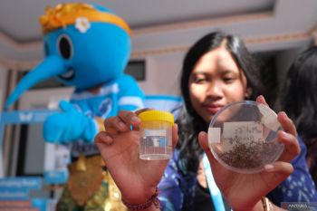 No new diseases from Wolbachia dengue control method: Health official