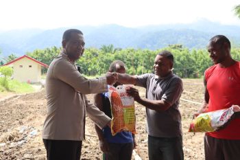 Polres Jayapura membantu bibit jagung perkuat ketahanan pangan