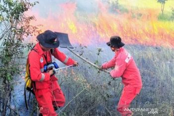 Manggala Agni Sulawesi Tenggara antisipasi karhutla sebagai dampak El Nino
