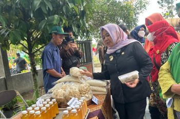 Bupati Sleman ajak warga perkuat fondasi keluarga melalui program DBKS