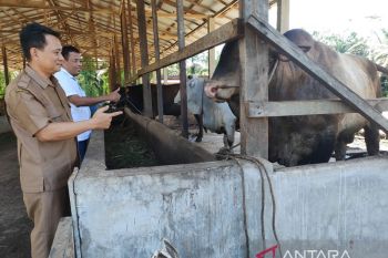 Geliat ekonomi desa binaan Kebun Tandun PTPN V