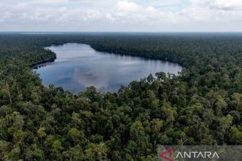 Komitmen APRIL Group dalam upaya konservasi dan restorasi